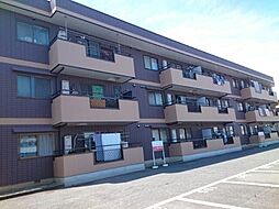 🉐敷金礼金0円！🉐ロイヤルアイフティ