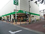 サミット 871m