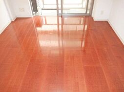 東京メトロ有楽町線 江戸川橋駅 徒歩5分の賃貸マンション 4階1Kのリビング/ダイニング