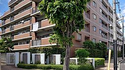 サンクタス西新井