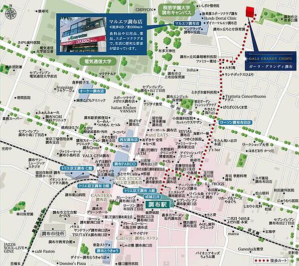 ガーラ・グランディ調布
