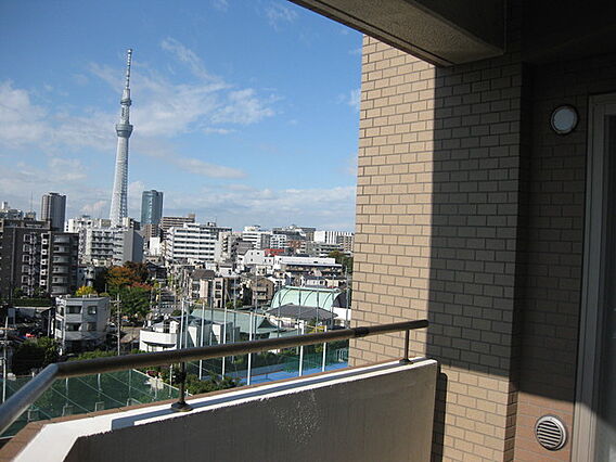 日神パレステージ亀戸第６_その他_1