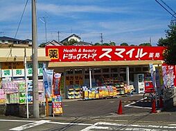 ドラッグストアスマイル梶ヶ谷店 1196m