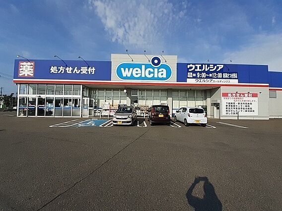 クレメント_その他_6