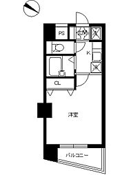 スカイコート後楽園壱番館 10階/-