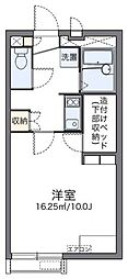 レオネクスト泉 1階1Kの間取り