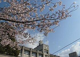 グローリー中百舌鳥  ｜ 大阪府堺市北区百舌鳥梅町３丁（賃貸マンション3LDK・1階・67.00㎡） その19