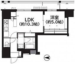 フレンシア菊川 1LDKの間取図画像