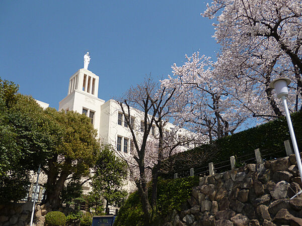 画像29:私立神戸海星女子学院大学 465m