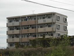 Ｓ・ＡＳＡＧＩＲＩ