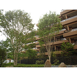 広尾ガーデンフォレスト　Ｅ棟