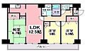 セザン白山3階8.3万円