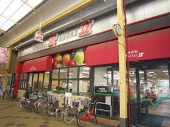 フクシア アベニュー_周辺_0