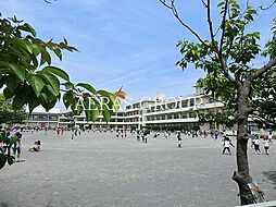 [周辺] 鎌倉市立第一小学校 1877m