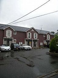 ダンディ−ライオンＡ 101