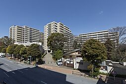 シティコート目黒3号棟 313