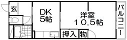 エレガンスシティー 1DKの間取図画像