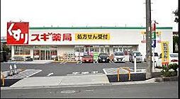 グレイスヴェリテ