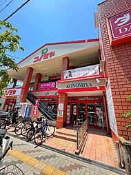 コノミヤ南住吉店 537m