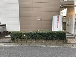 6 / 17