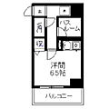 アバンス薬院6階4.8万円