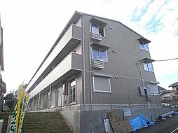 ブルー・ローズ