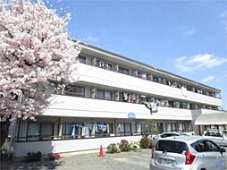 サンヒルズ大塚 313