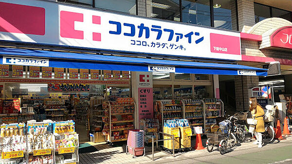Ｐｌａｉｓｉｒ本中山