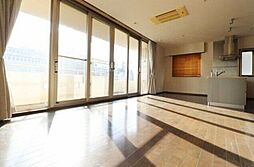 COLLINE代官山 1LDKの写真