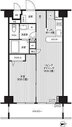 東京メトロ丸ノ内線 新中野駅 徒歩2分の賃貸マンション 8階1LDKの間取り
