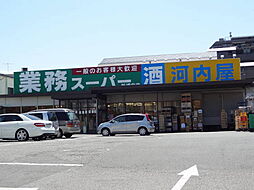 パルクソレイユ