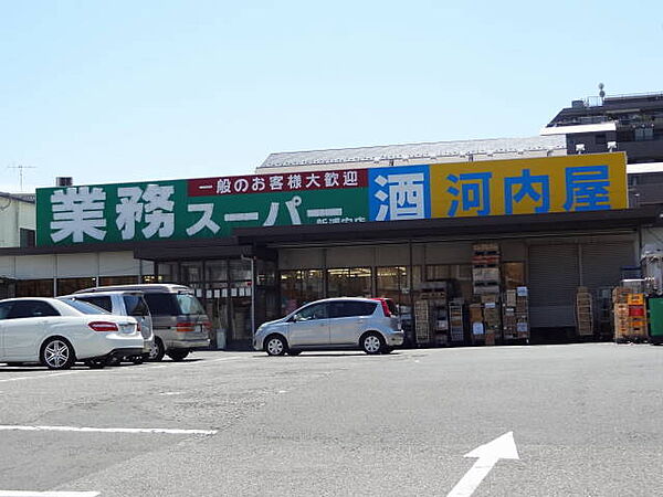 ウィンズ・リリー