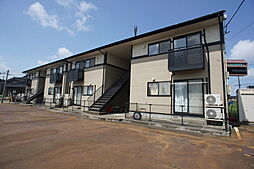 ペットソラーレ