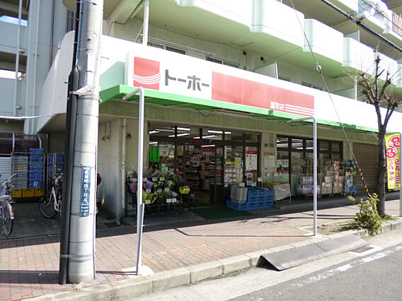 イーリス_周辺_0