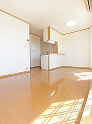 南海線 紀ノ川駅 徒歩12分の賃貸アパート 2階1LDKのリビング/ダイニング