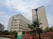 大学・短大 1800m