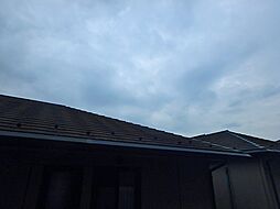 オリーブ(上溝)