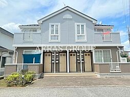 サニーキュート