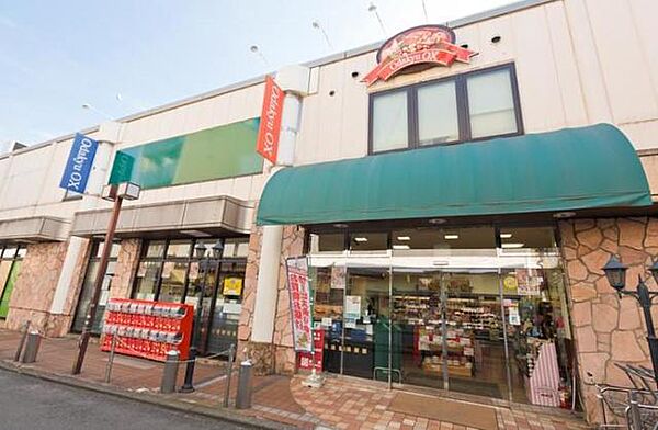 ハウス生田シナリーテラス