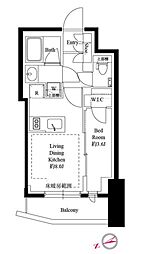 343レジデンス後楽園 1LDKの間取図画像