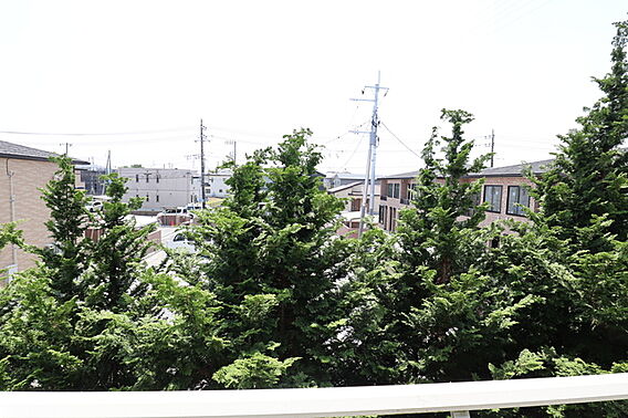 ウィンドウッドＡ_その他_1