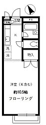 ハイツ伊藤 1階ワンルームの間取り