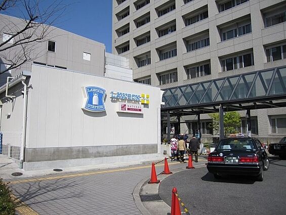 マーベラス_周辺_3