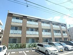 リブリ・コイノニア