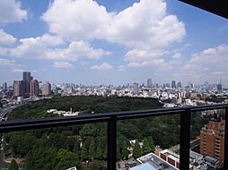 東京都庭園美術館等の緑の木々が眼下に見えます。東京都庭園美術館は、バリアフリー機能強化の工事中で11/18（土）にリニューアルオープンとの事。楽しみですね〜♪