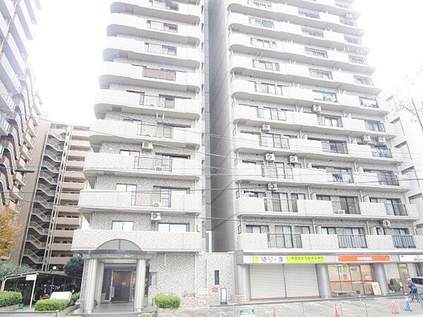 神奈川県海老名市中央３丁目(賃貸マンション1SDK・12階・42.12㎡)の写真 その1