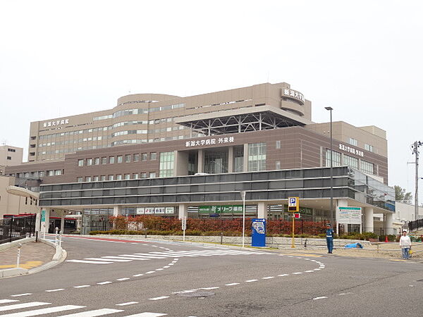 画像30:新潟大学医歯学総合病院 788m