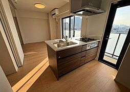 ACPレジデンス錦糸町 3LDKの写真