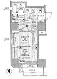 日神デュオステージ新御徒町 1DKの間取図画像