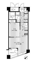 COSMOSREIDShinjukuYochomachi 1LDKの間取図画像